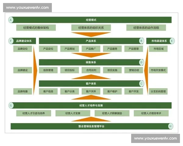 以创新价值驱动市场增长的全域品牌推广整合营销新策略解析实践路径